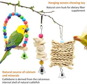 img 2 attached to DOMIGLOW Bird Toys Parakeets Accessories
