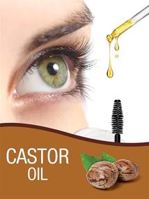 img 3 attached to 🌿 Horbaach Castor Oil 64oz - Hair Health, Eyelashes & Eyebrows | Hexane-Free, Cold Pressed, Vegetarian & Non-GMO