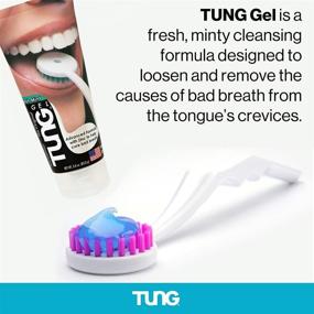 img 1 attached to 🦷 Peak Essentials TUNG Brush Kits: Premium Tongue Cleaner & Scraper - Fight Bad Breath with Odor Eliminator. Fresh Mint & BPA Free. Made in America. (2 Count w/ Cap)