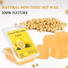 img 1 attached to 🕯️ Tobeape Scented Wax Melts - 8 Pack Soy Wax Cubes with Strong Fragrance Essential Oils - Rose, Lavender, Fig, Vanilla, Jasmine, Lemon, Spring, Bergamot - Total 20oz for Wax Warmers