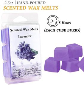 img 2 attached to 🕯️ Tobeape Scented Wax Melts - 8 Pack Soy Wax Cubes with Strong Fragrance Essential Oils - Rose, Lavender, Fig, Vanilla, Jasmine, Lemon, Spring, Bergamot - Total 20oz for Wax Warmers