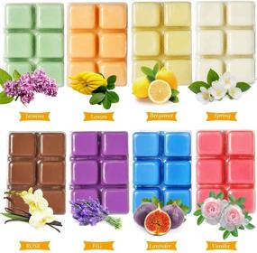 img 3 attached to 🕯️ Tobeape Scented Wax Melts - 8 Pack Soy Wax Cubes with Strong Fragrance Essential Oils - Rose, Lavender, Fig, Vanilla, Jasmine, Lemon, Spring, Bergamot - Total 20oz for Wax Warmers