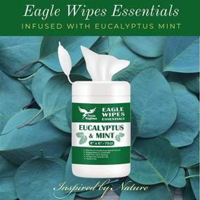 img 3 attached to Канистра Texas Ragtime Eucalyptus Mint EM Yoga Wipes (75 салфеток) - естественная очистка и освежение для тренажерного зала и фитнеса, йоги, пилатеса - салфетки на основе бамбука, полностью биоразлагаемые