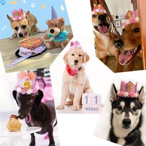 img 3 attached to 👑 POSAPET Crown Dog Birthday Hat: Reusable & Glittery Party Hat for Dogs, Cats, and Kittens