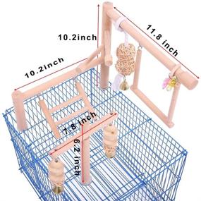img 3 attached to 🐦 Bird Cage Play Stand Toy Set with Wood Stands, Hanging Chew Toys, Ladder Swing – Parrot Perch Play Gym Playground Accessories & Activity Center for Conure, Parakeets, Budgie, Cockatiels, Lovebirds