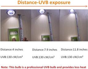 img 2 attached to 🐢 UVB Reptile Light 5.0 & 10.0: LED UVB Lamp for Turtle & Bearded Dragon
