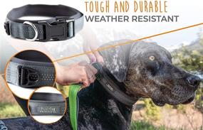 img 2 attached to Enhance Your Active Dog's Comfort with the Mighty Paw Neoprene Padded Reflective Running Dog Collar - Premium Quality and Optimal Sports Collar!