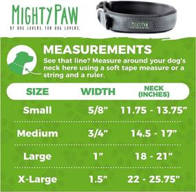 img 3 attached to Enhance Your Active Dog's Comfort with the Mighty Paw Neoprene Padded Reflective Running Dog Collar - Premium Quality and Optimal Sports Collar!