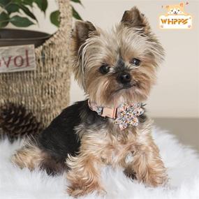 img 3 attached to Soft Floral Pattern Dog Collar with Flower for Girl Dogs - Cute Bow Tie Design, Safety Metal Buckle - Suitable for Puppies, Small, Medium, and Large Dogs - WHIPPY