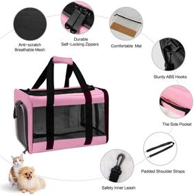 img 2 attached to 🐾 VIEFIN Pet Carrier - Airline Approved for Small Medium Cats and Dogs, Collapsible Soft-Sided Cat Carrier for 16 lbs Pets - Ideal Pet Travel Carrier for Cats, Dogs, Puppies, and Kittens