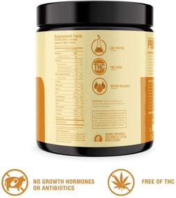 img 1 attached to 🌱 Nutrient-Rich Vanilla Chai Plant-Based Protein Powder with Hemp Extract - 15 Servings - Non GMO - Sunrise Supplements