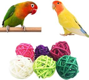img 3 attached to 🐦 Deloky 15 Packs of Bird Parrot Swing Chewing Toys: Ideal Cage Accessories for Small Parakeets, Cockatiels, Conures, Finches, Budgie, Macaws, Parrots, Love Birds
