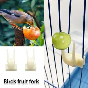 img 2 attached to 🐦 Deloky 15 Packs of Bird Parrot Swing Chewing Toys: Ideal Cage Accessories for Small Parakeets, Cockatiels, Conures, Finches, Budgie, Macaws, Parrots, Love Birds