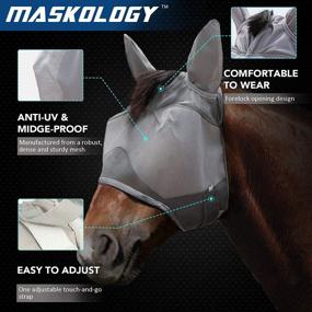 img 3 attached to 🐴 Harrison Howard Maskology Standard Horse Fly Mask with Ears: Ultra Durable Mesh & Stellar UV Protection