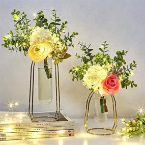 img 1 attached to 🌸 MARATTI 2 Pcs(S+L) Flower Vases with Iron Art Frame - Clear Vase Decorative for Home Office, Weddings & Parties (Gold/Rose Gold)