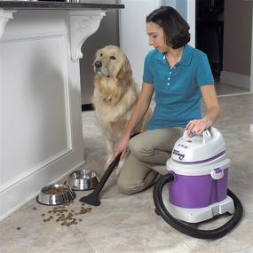 img 1 attached to Shop-Vac 5895400 4.5-HP All-Around EZ Wet/Dry Vacuum, 4-Gallon, Grape/Gray