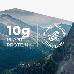 img 1 attached to 🌱 Evolve Plant Based Protein Bar Variety Pack - 3 Flavors, 10g of Vegan Protein, Dairy Free, No Artificial Flavors, Non-GMO, 12 Pack (Packaging May Vary)