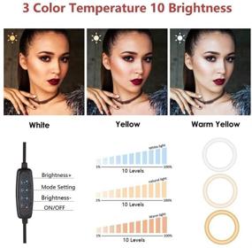 img 3 attached to 🌟 8-Inch Dimmable LED Ring Light with Stand, Phone Holder, and Desk Mount - Perfect for Computer Selfies, YouTube Videos, TikTok, Live Streaming, Makeup, and Photography - Featuring 3 Light Modes (Black)