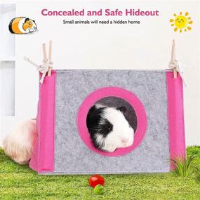 img 3 attached to 🏞️ Vibrant Sky Blue, Pink, Purple, Green & Strawberry Red Guinea Pig Hideout: Cozy Fleece Forest Hideaway for Guinea Pigs, Ferrets, Chinchillas, Rats, Bunny & Other Small Animals - No Metal Fences