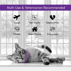 img 3 attached to 🐱 Calming Collar for Cats: Pheromone-Based Anxiety Relief, Ideal for Kittens - 4 Pack