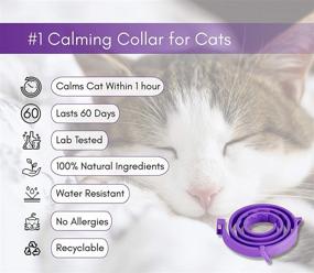 img 4 attached to 🐱 Calming Collar for Cats: Pheromone-Based Anxiety Relief, Ideal for Kittens - 4 Pack