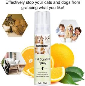 img 3 attached to 🐱 SEGMINISMART Cat Scratch Deterrent Spray - Effective Anti-Scratch Solution for Cats, Training Aid Spray - Safeguard Your Home, Furniture, and Plants