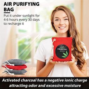 img 1 attached to 🎋 Activated Bamboo Charcoal Bags - 4 Pack (4x200g) - Pet Friendly Air Purifying Bags for Home, Car, Closet, Bathroom, Shoe - Natural Odor Absorber and Deodorizer