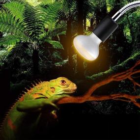 img 1 attached to 🔥 OMAYKEY Reptile Heat Lamp Fixture with Extended Adjustable Clamp Stand for Optimal Pet Brooder Coop Heating. Perfect for Chicken, Lizard, Turtle, Snake, and Aquarium Habitat Lamps & Light Bulbs.