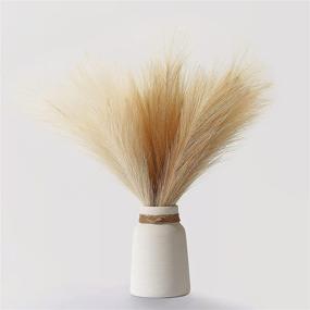 img 4 attached to 🌾 Rustic Faux Pampas Grass - Set of 6 Stems, 17'' Short Artificial Fake Flowers for Rustic Trendy Cottagecore Decor