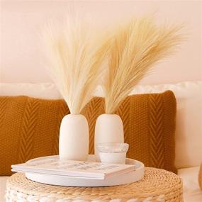 img 3 attached to 🌾 Rustic Faux Pampas Grass - Set of 6 Stems, 17'' Short Artificial Fake Flowers for Rustic Trendy Cottagecore Decor