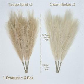 img 2 attached to 🌾 Rustic Faux Pampas Grass - Set of 6 Stems, 17'' Short Artificial Fake Flowers for Rustic Trendy Cottagecore Decor
