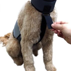 img 2 attached to ❄️ CoolerDog Dog Cooling Vest and Collar - Ice Vest for Dogs with Enhanced Cooling Technology