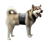 ❄️ coolerdog dog cooling vest and collar - ice vest for dogs with enhanced cooling technology logo