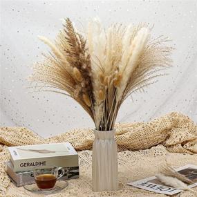 img 4 attached to 65 Pcs Natural Dried Pampas Grass Decor | Wedding, 🌾 Kitchen, Yard & Home Decor | Boho Pampas Grass for Home Life
