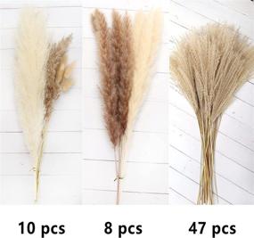 img 1 attached to 65 Pcs Natural Dried Pampas Grass Decor | Wedding, 🌾 Kitchen, Yard & Home Decor | Boho Pampas Grass for Home Life