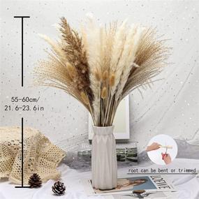 img 2 attached to 65 Pcs Natural Dried Pampas Grass Decor | Wedding, 🌾 Kitchen, Yard & Home Decor | Boho Pampas Grass for Home Life