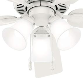 img 3 attached to Hunter Swanson Indoor Ceiling Control Lighting & Ceiling Fans