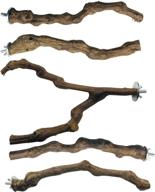 seasonsky 5 pcs bird perch: natural grape stick bird toys for parrot cages - swing, chewing, and standing sticks for cockatiels, parakeets, finches logo