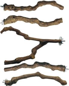 img 4 attached to Seasonsky 5 PCS Bird Perch: Natural Grape Stick Bird Toys for Parrot Cages - Swing, Chewing, and Standing Sticks for Cockatiels, Parakeets, Finches