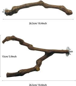 img 2 attached to Seasonsky 5 PCS Bird Perch: Natural Grape Stick Bird Toys for Parrot Cages - Swing, Chewing, and Standing Sticks for Cockatiels, Parakeets, Finches