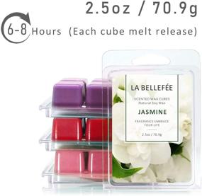 img 3 attached to LA BELLEFÉE Floral Wax Candles Melts - Rose, Lavender, Jasmine, Cherry Scented Wax Cubes for Spa, Bath, Yoga - Natural Soy Wax Melts (4x2.5oz)