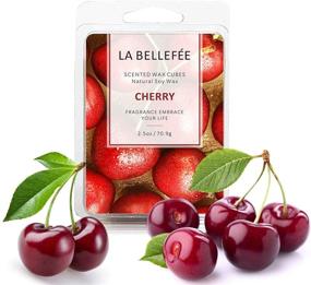 img 1 attached to LA BELLEFÉE Floral Wax Candles Melts - Rose, Lavender, Jasmine, Cherry Scented Wax Cubes for Spa, Bath, Yoga - Natural Soy Wax Melts (4x2.5oz)