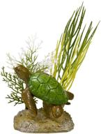 ๐ discover the captivating aquatic scene with blue ribbon exotic environments logo