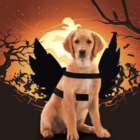 img 2 attached to 🎃 Spooktacular Pet Cat Bat Wing Costume for Halloween Parties