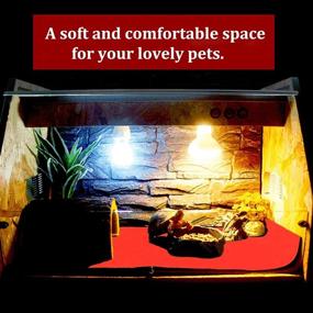 img 2 attached to 🦎 PINVNBY 2 Pcs Reptile Carpet - 39.3x19.6 inch - Terrarium Bedding Liner for Lizard Turtle Gecko Spider Bearded Dragon Frog Chameleon Leopard Gecko Snake (Red)