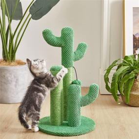 img 1 attached to 🌵 Kilodor Cactus Cat Scratching Post: 3 Sisal Scratching Poles & Ball - Ultimate Kitten Scratcher Tree