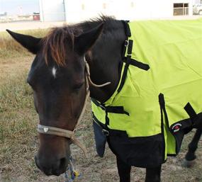 img 2 attached to Light Winter Blanket - 1200D Turnout Horse Sheet, Ideal for Winter Weather, Blanket 344