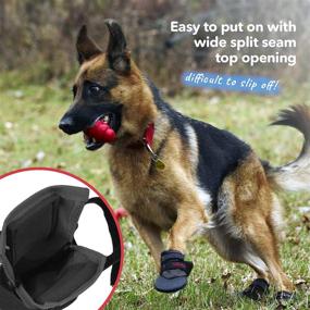 img 1 attached to Ultra Paws Light Duty Water Resistant Dog Boots: Versatile Footwear for Small, Medium, and Large Dogs