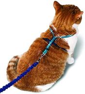 🐱 enhanced petsafe come with me kitty glitter harness and bungee cat leash logo