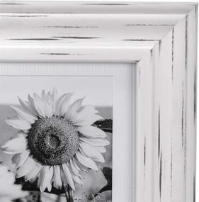 img 2 attached to 🖼️ Malden International Designs White Wash Whitman 3 Opening Collage Wood Picture Frame, 5 by 7-Inch